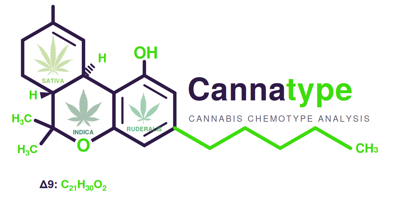 Cannatype — Cannabis Chemotype Analysis